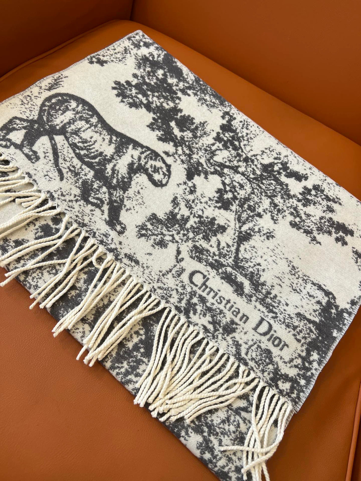 Dior Jacquard Printed Scarf - 984597601 - Photo 1