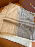 Loro Piana Gradient Scarf - 984597126 - Photo 1
