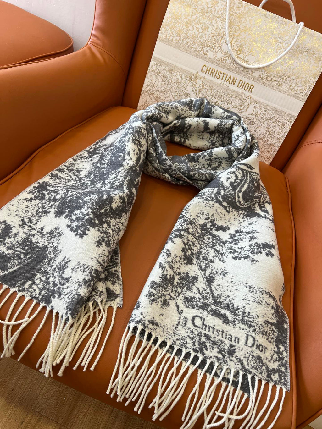 Dior Jacquard Printed Scarf - 984597601 - Photo 2