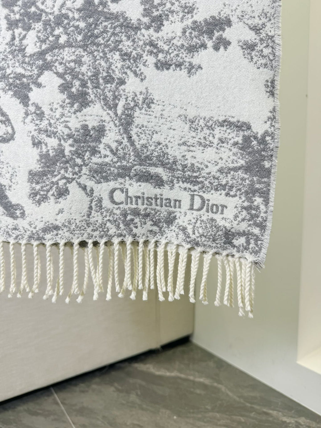 Dior Jacquard Printed Scarf - 973644643 - Photo 2