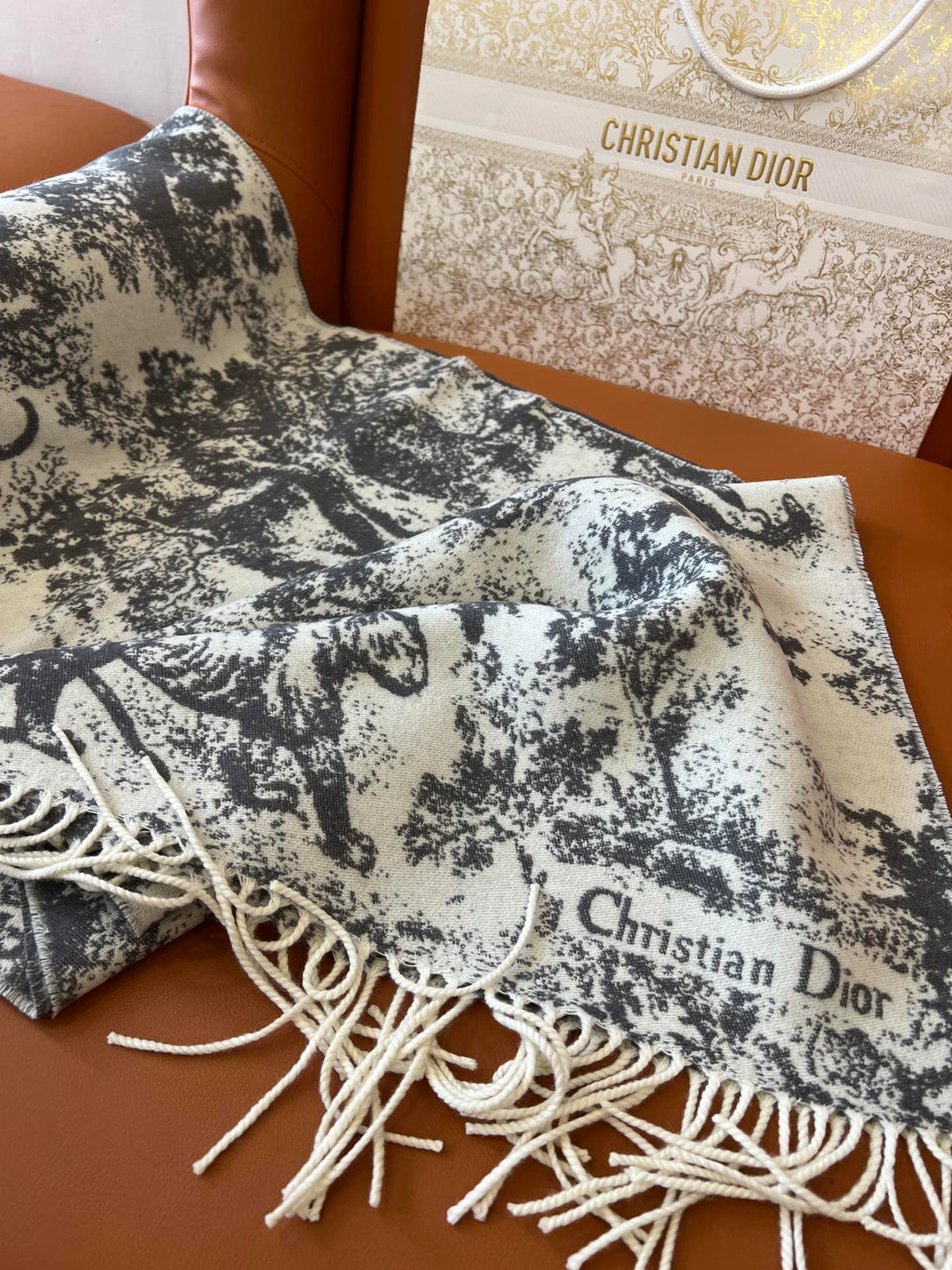 Dior Jacquard Printed Scarf - 984597601 - Photo 3