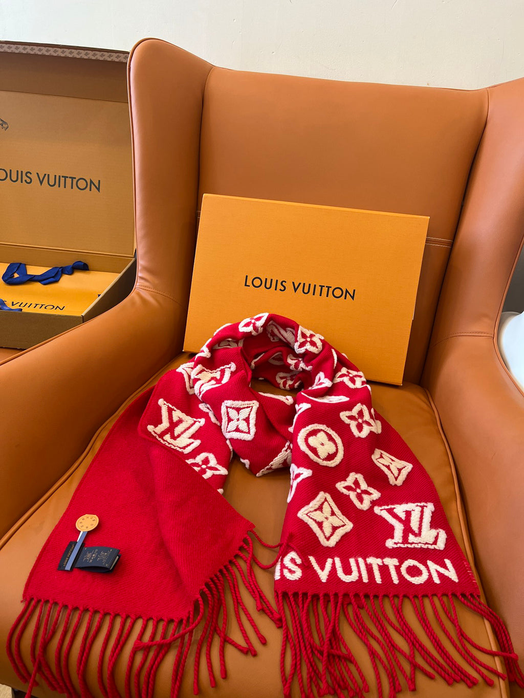 Louis Vuitton Colorblock Scarf - 983997371 - Photo 5